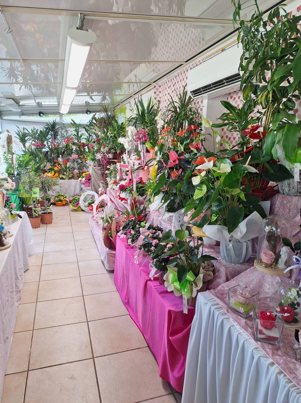 intérieur de la boutique